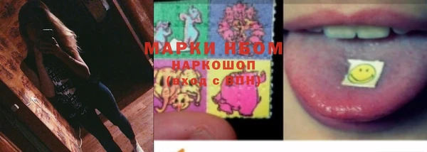 mix Богородицк